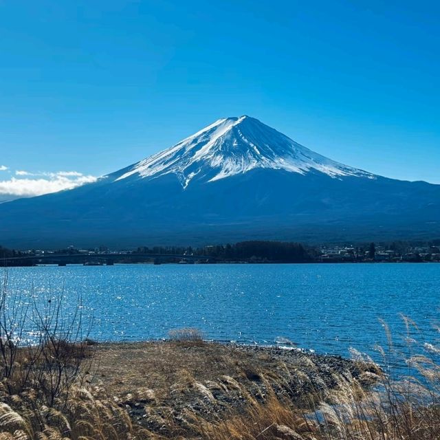 🇯🇵 แพลนเที่ยว Tokyo → Mount Fuji 5 วัน