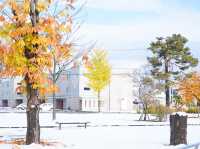 ❄️🍁비에이 폭설과 함께한 가을 비에이 투어