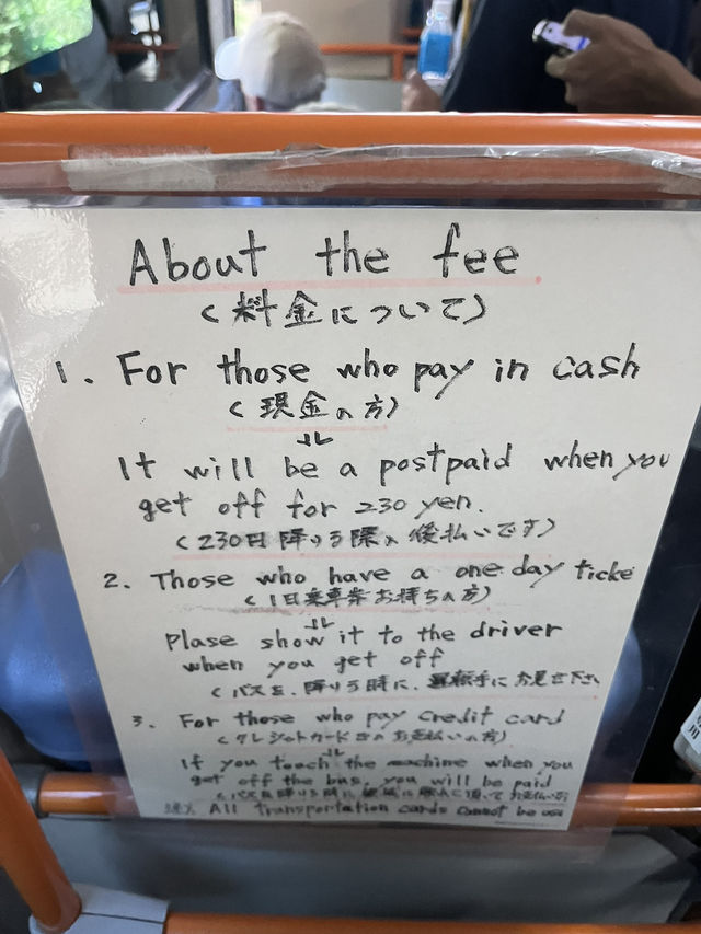 🚢 【1時間半で完結!朝イチ🌋桜島プラン】 🚢 【1時間半で完結!朝イチ🌋桜島プラン】