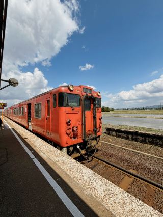 ฟาร์มเฮาส์