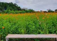 아름다운 바다 여행 📍제주도