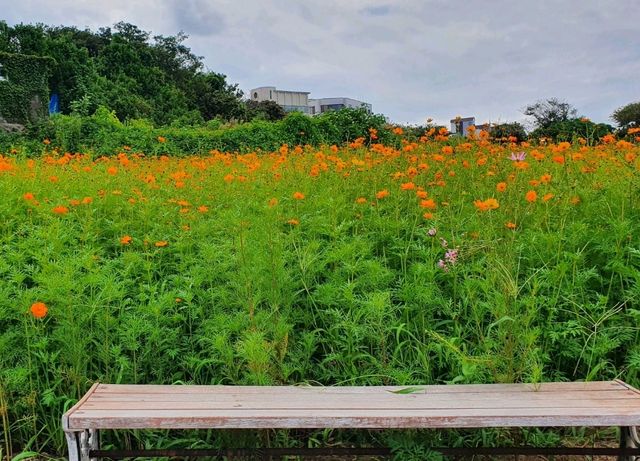아름다운 바다 여행 📍제주도 아름다운 바다 여행 📍제주도