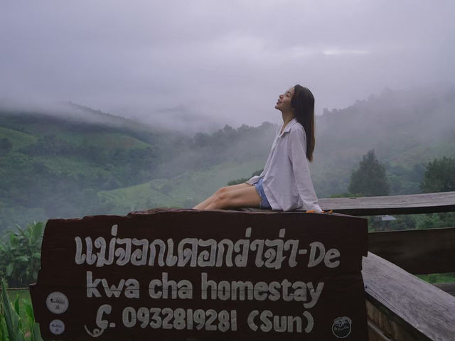 แม่จอกเดอกว่าฉ่าโอมสเตย์ อ.แม่แตง จ.เชียงใหม่