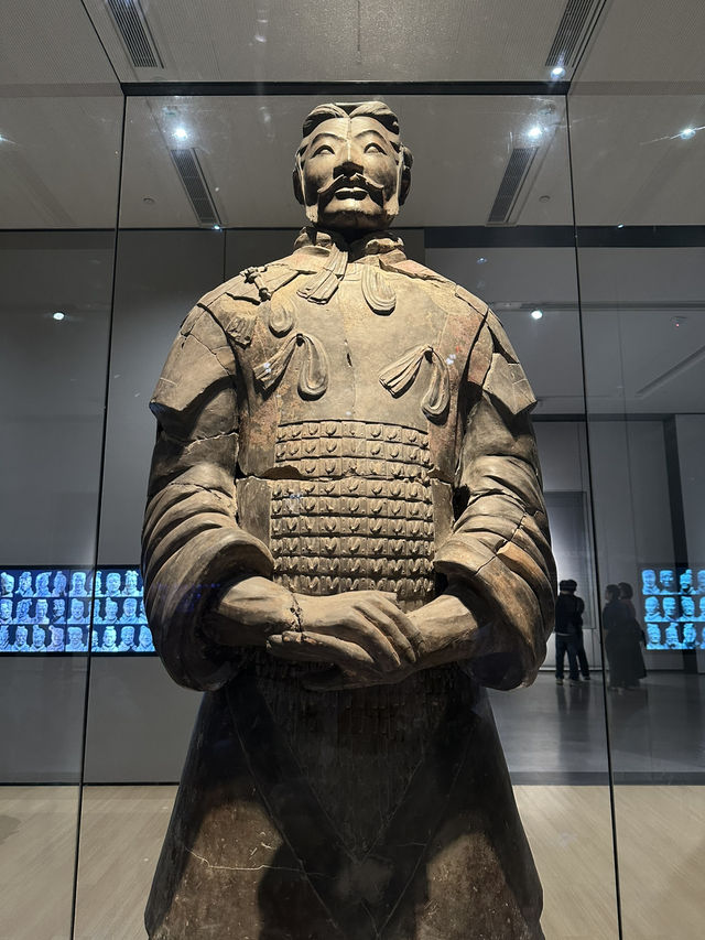 Qin’s Eternal Army✨