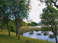 Lakeside Serenity: A Stroll at Putrajaya Wetlands 🌊