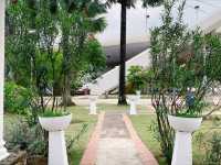 A Slow Walk Through Serenity: Discovering the Calm & Green Garden