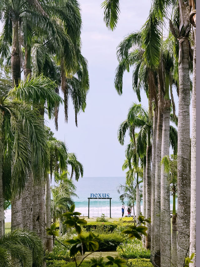 A Fantastic Stay at Nexus Resort & Spa Karambunai 🌴✨