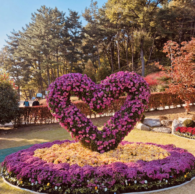 The Breathtaking View of Daecheongho Lake The Breathtaking View of Daecheongho Lake