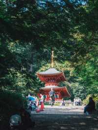 勝尾寺超級可愛滿山達摩!