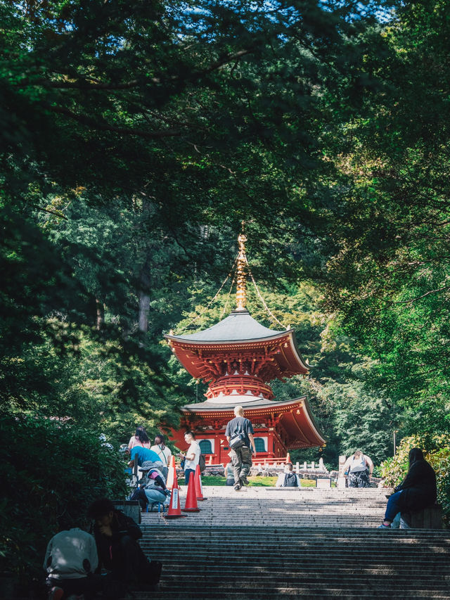 勝尾寺超級可愛滿山達摩! 勝尾寺超級可愛滿山達摩!