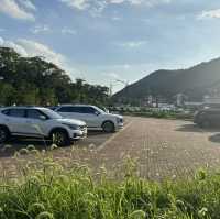 경주 보문 맛집은 여기! 소뼈찜이 별미 😍