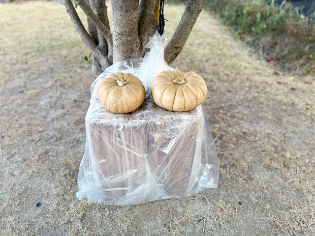 아직은 가을여행 중 😁🍁