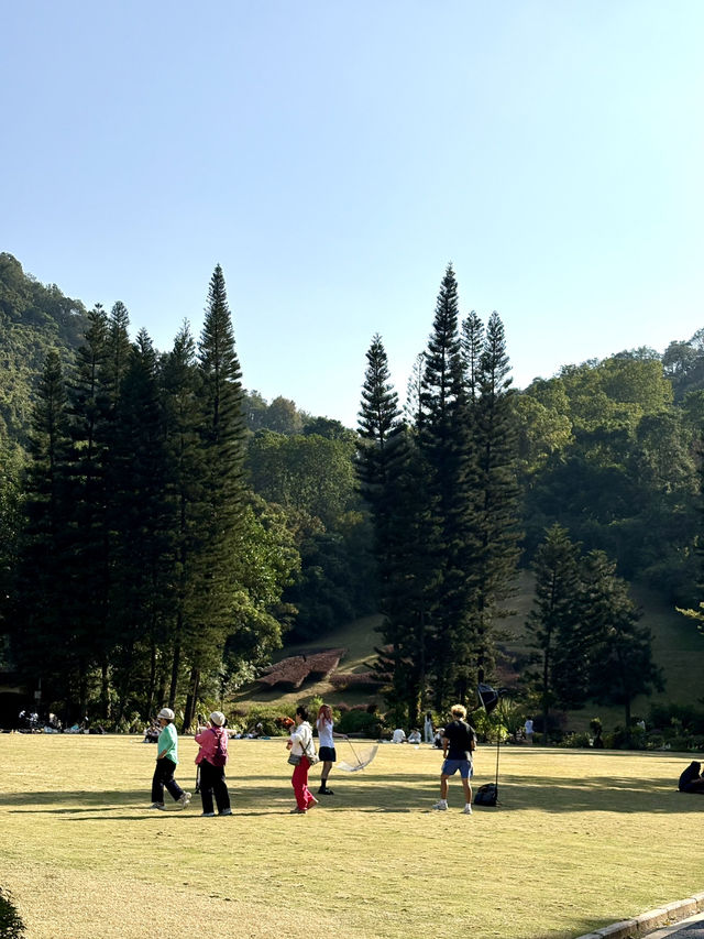 深圳仙湖弘法半日遊,自然療癒與禪意體驗 深圳仙湖弘法半日遊,自然療癒與禪意體驗