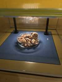 Borneo Cultures Museum: A Must-Visit in Kuching