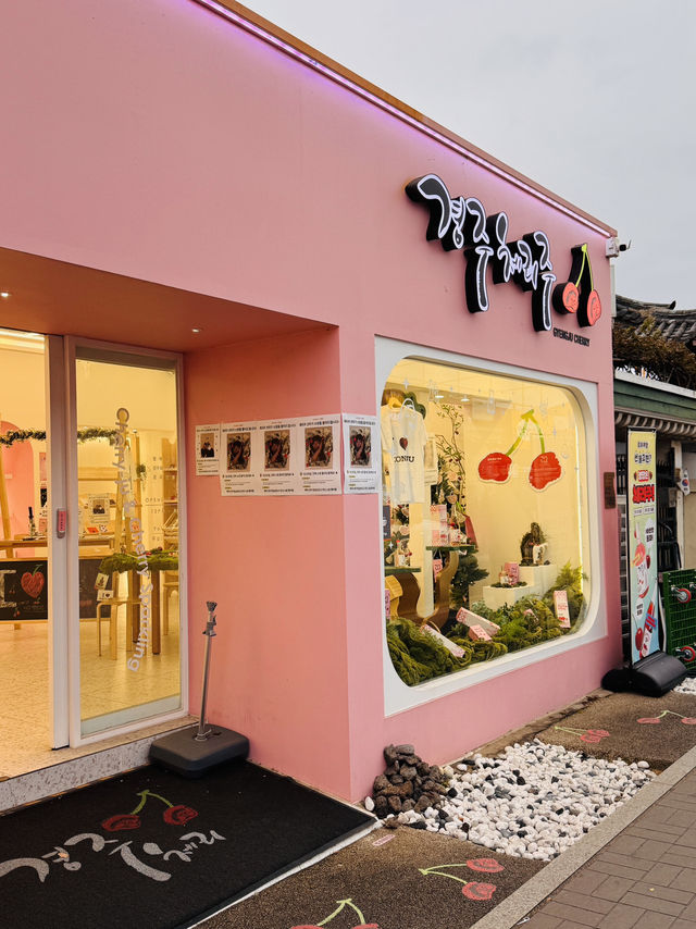 경주 체리주 경주 체리주