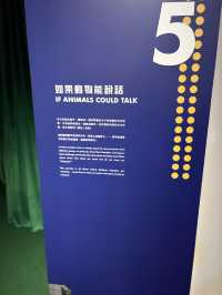 AIRSIDE物種共融藝術體驗🤟🏻開啟平等共存新視野👀