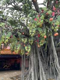 A Whole Different Side of Hong Kong