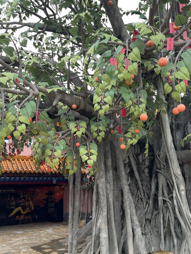 A Whole Different Side of Hong Kong