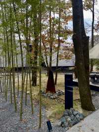 🌲아소산의 맑은 공기와 자연 휴양을 즐길 수 있는 🏝️구마모토 아소 감성숙소💚