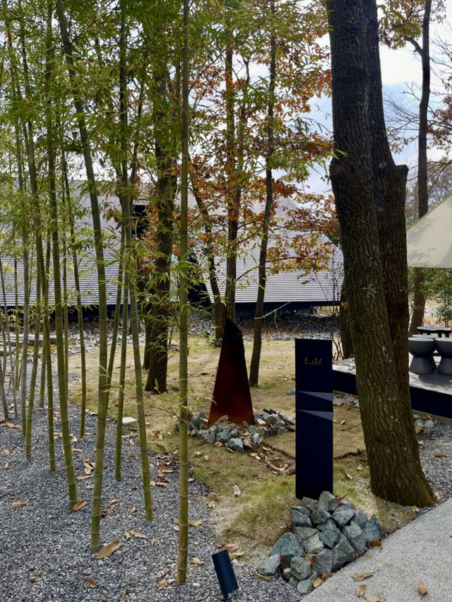 🌲아소산의 맑은 공기와 자연 휴양을 즐길 수 있는 🏝️구마모토 아소 감성숙소💚 🌲아소산의 맑은 공기와 자연 휴양을 즐길 수 있는 🏝️구마모토 아소 감성숙소💚