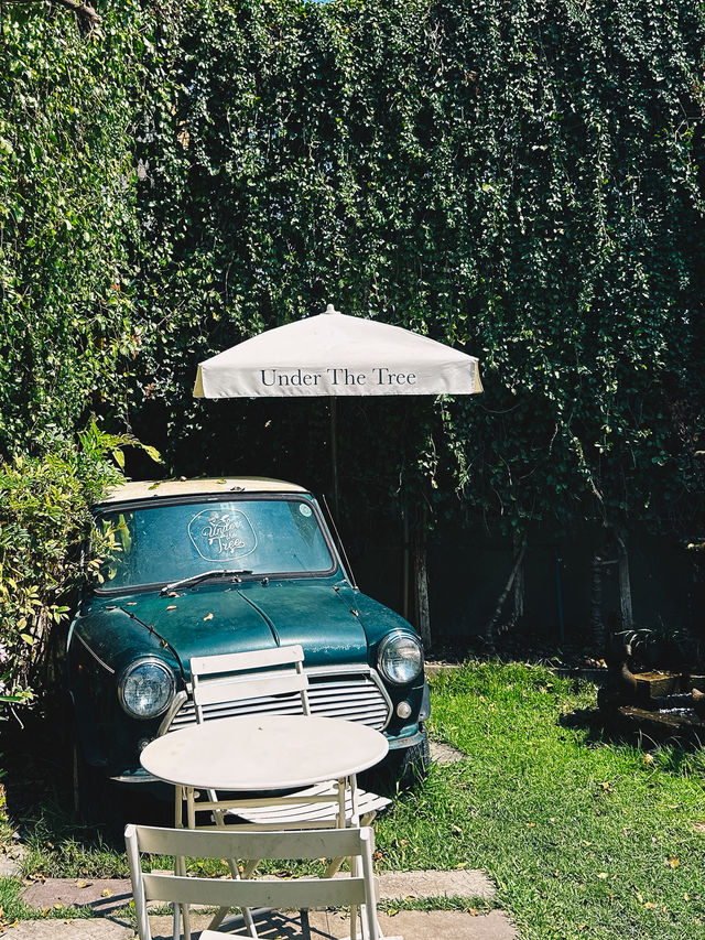 Cozy vibes at Under the Tree Cafe