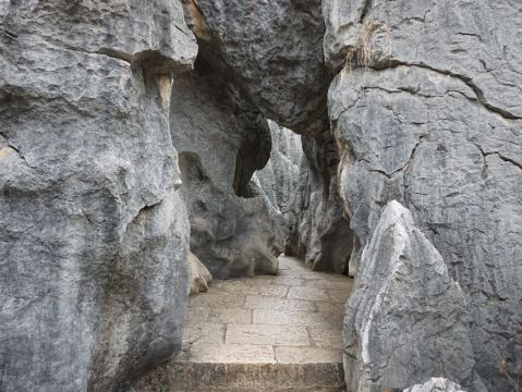 The overwhelming scale of nature: Conquering Kunming's ultimate