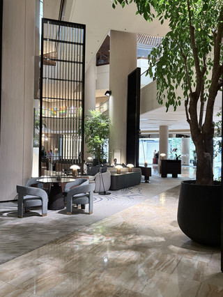 #singaporehotel 

I simply cannot get over how blessed I am with this location! Here I am in magnificent Singapore, surrounded by luxury and elegance at every turn, with two of the city's finest hotels practically on my doorstep. The Parkroyal Collection at Marina Bay and the Pan Pacific are both absolute stunners, and having them so close to each other in this prime spot has made my holiday absolutely seamless and wonderful. The Parkroyal is unlike anything I've ever seen—a visionary masterpiece where vibrant greenery tumbles down the facade, creating a living, breathing sanctuary that feels worlds away from the city buzz. It's so elegant and refreshingly unique. Then just a short stroll away, the Pan Pacific welcomes with its timeless grace and sophistication, offering sweeping harbour views and that signature Singaporean warmth and luxury. Their proximity means I'm truly spoilt for choice, often hopping between them to enjoy their restaurants and admire their distinct beauty. And oh, this location! I'm perfectly positioned to explore everything—the dazzling lights of Marina Bay Sands, the incredible shopping at Suntec City, and the enchanting Supertree Grove are all just moments away. To have two such elegant hotels in this unbeatable spot has truly made my Singapore adventure feel like a glorious dream come true. 