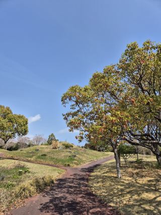  A Quiet Place to Unwind, Shizuoka Yoshida Park.