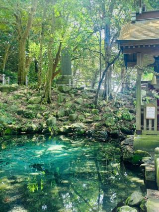 A Mysterious Emerald Blue Spring.