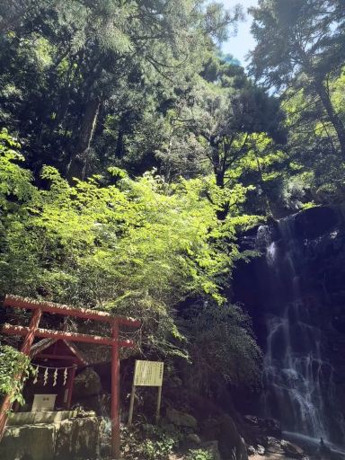 澄み渡る空の下、自然と文化との素晴らしい出会い⛩️🗻 | Trip.com 富士宮