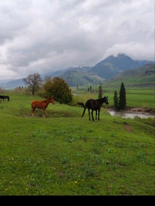 Discovering the untouched beauty of Gouxiong Valley