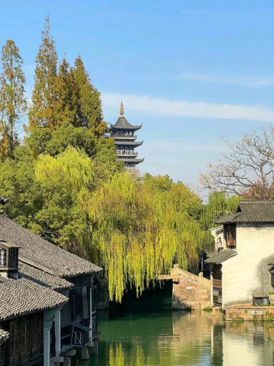Itinerary check in amazing Wuzhen