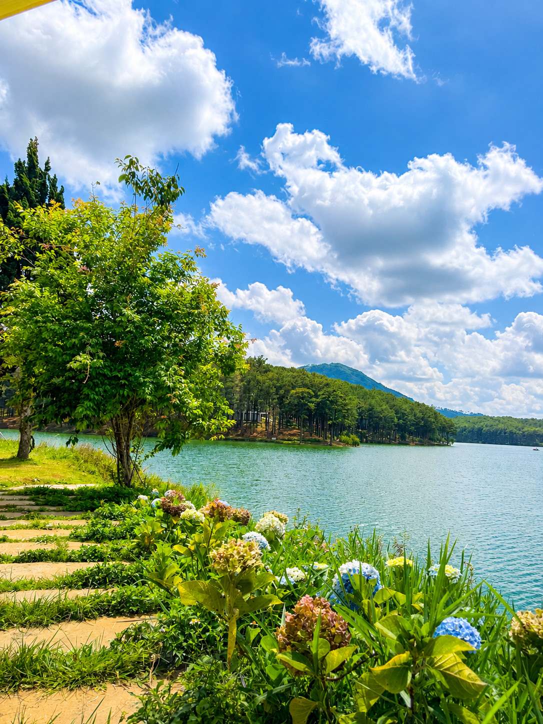 🌲What to See Outside Da Lat