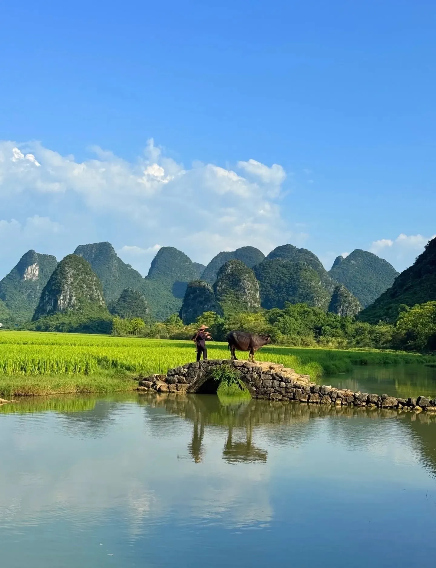 🇨🇳🏔️ A Sudden Click at Jinggang Mountain — Nature at Its Best