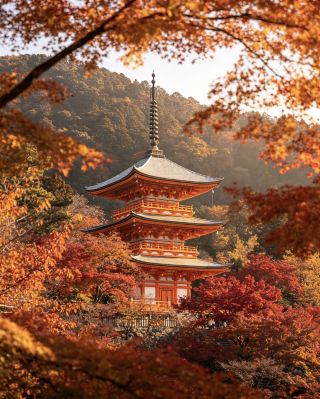 🏯 大阪週邊 4 個絕佳城市，非常適合一日遊。