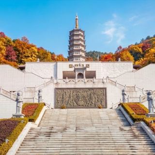 Taojin Mountain in Fall: A Quiet Morning I Didn't Expect to Love So Much 🍁