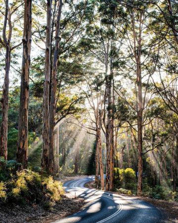 🍷 Margaret River: 4-day itinerary