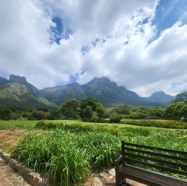 cape town's beauty garden