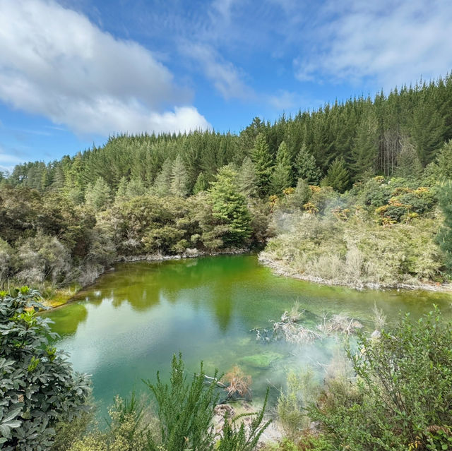 🚘🇳🇿🌄 10-Day Road Trip Through New Zealand’s North Island: An Unforgettable Adventure! 