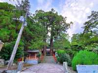 八幡朝見神社