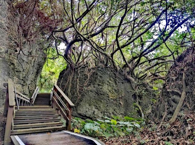 山豬溝生態步道