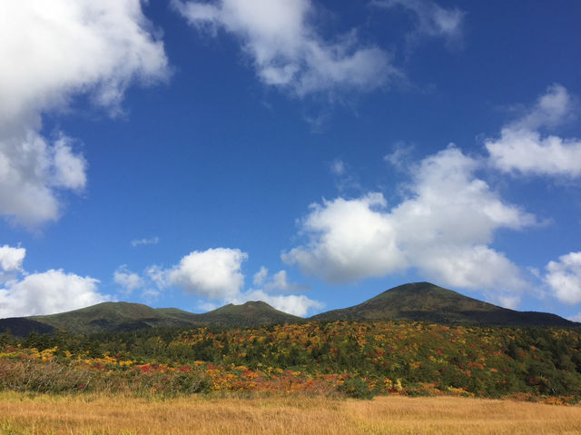 紅葉の絶景!青森・八甲田大岳で味わう秋の天空トレッキング 紅葉の絶景!青森・八甲田大岳で味わう秋の天空トレッキング