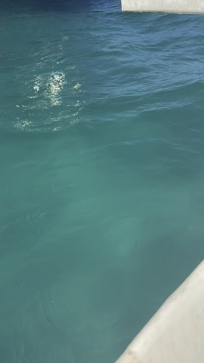 The water in Arraial do Cabo - Rio de Janeiro!#travel2026 #riodejaneiro #beachlife 