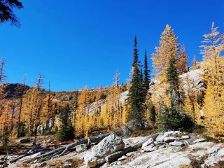 Cutthroat Pass, a popular hiking trail in the American Northwest during the Golden Pine Season.