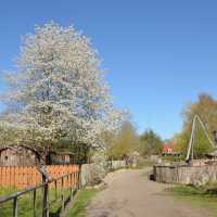 Tierpark… Local Zoo Greifswald Germany
