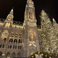 Magical Christmas Market In Vienna