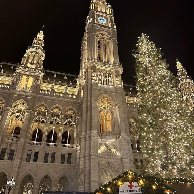 Magical Christmas Market In Vienna