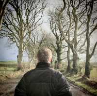 Dark Hedges: for Game of Thrones fans