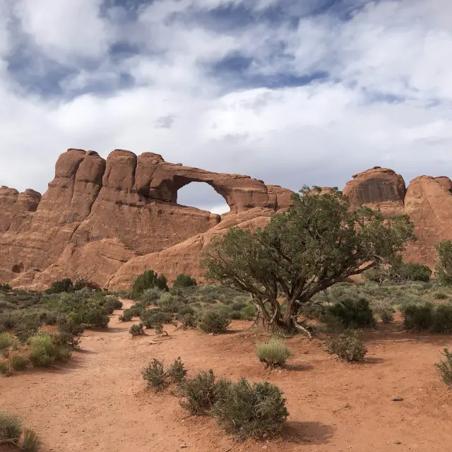 Amazing Arches National Park