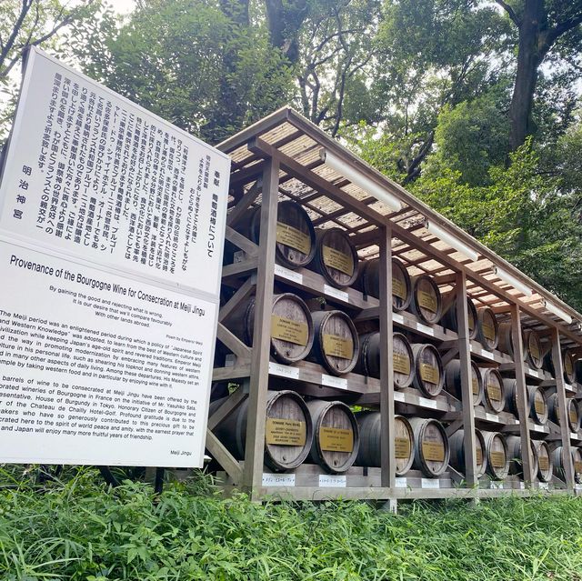 Meiji jinju shrine in Japan 🇯🇵 